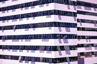 星空体育在线入口-体育新闻中心推进体育智库体系建设，体育专题报道