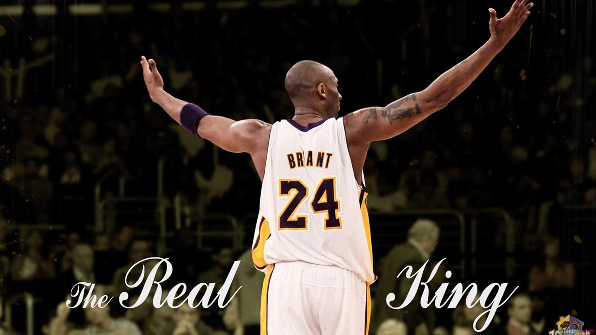 星空娱乐-劳塔罗：国际米兰核心，阿根廷前锋，阿根廷莱罗塔列